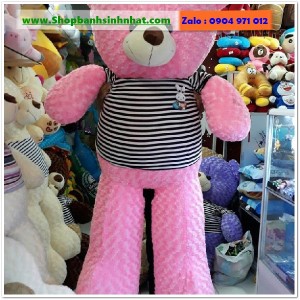 Gấu Bông Teddy Hàn Quốc - GAU88